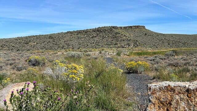 Inzulinrezisztencia (IR) közérthetően: tünetek, okok, vizsgálatok